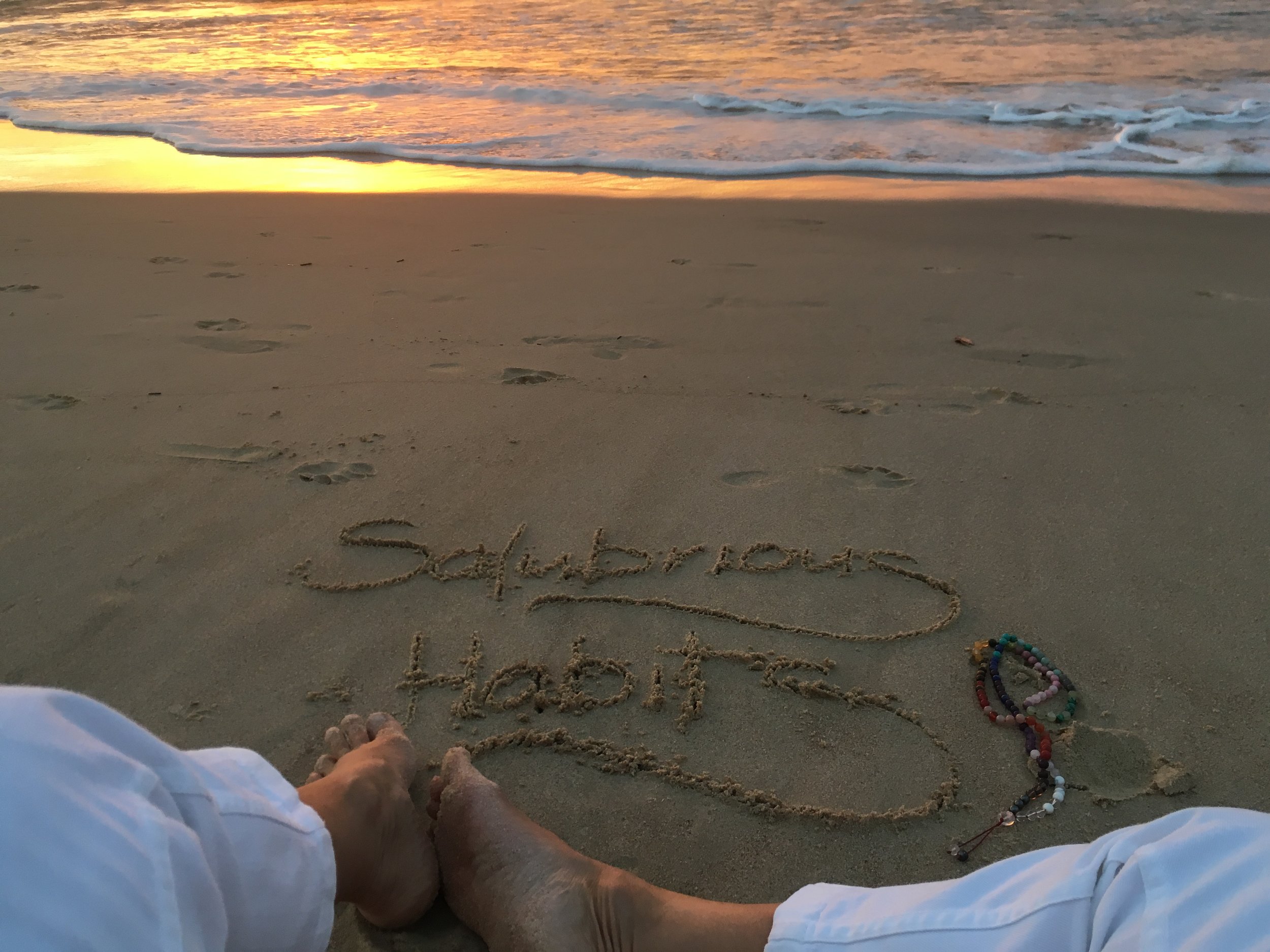 Salubrious Habits the Blog & the Lifestyle