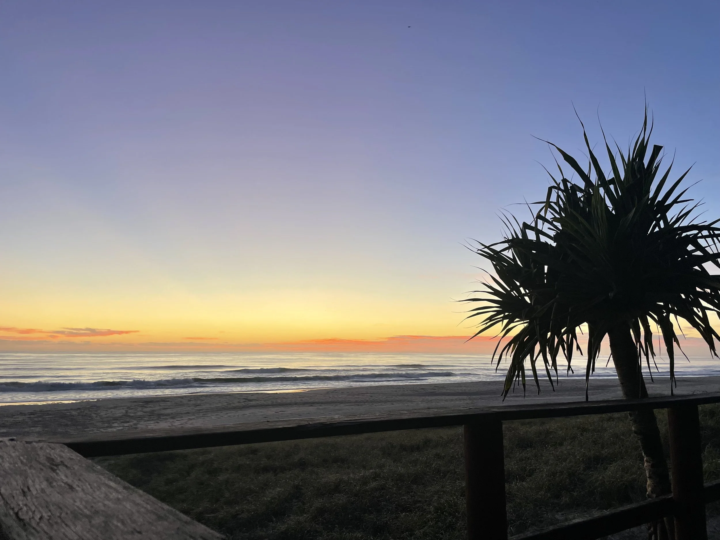 Farewell 2021   Farewell Sydney   welcome coaching online