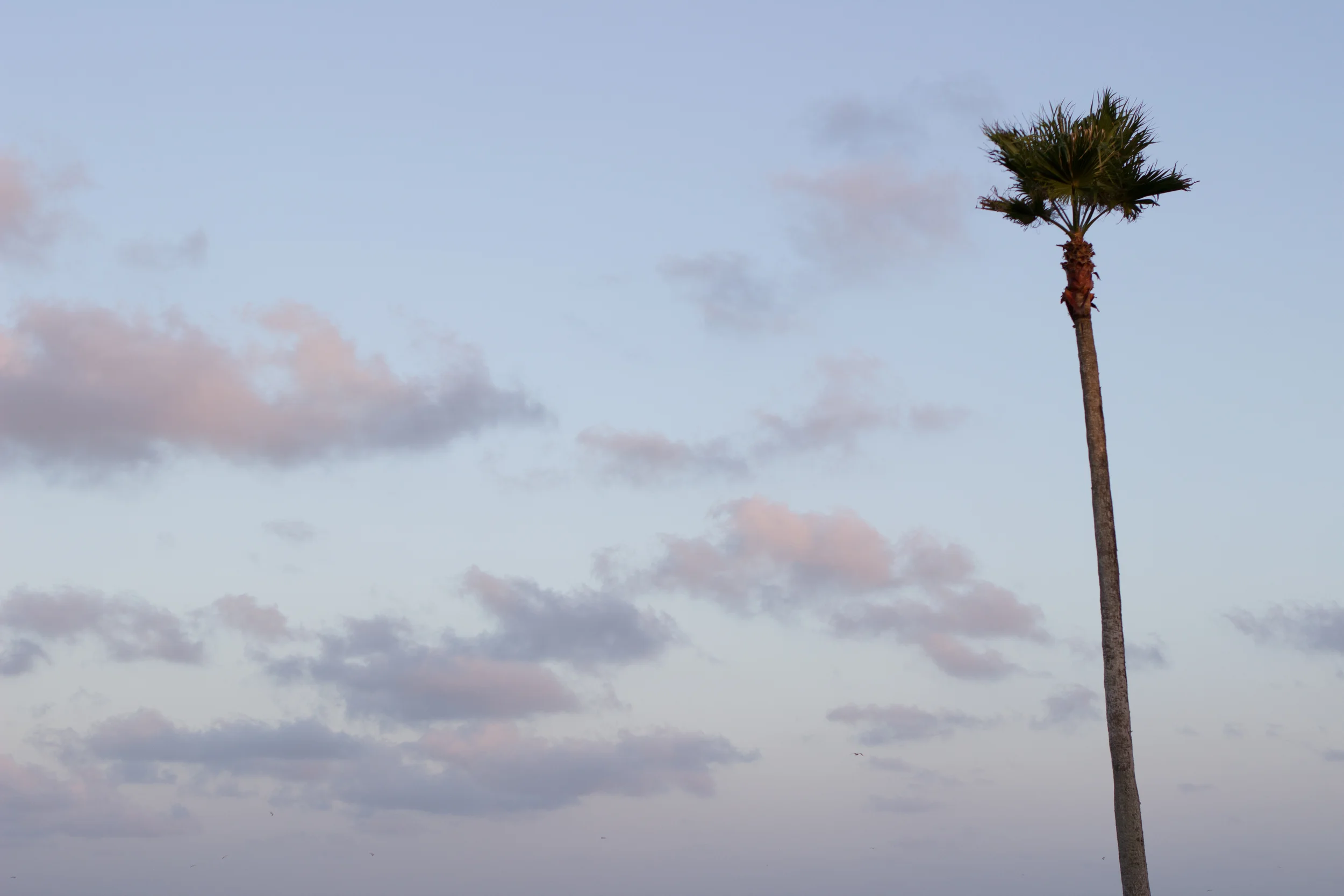 Top 5 Tips for Taking Vacation Photographs