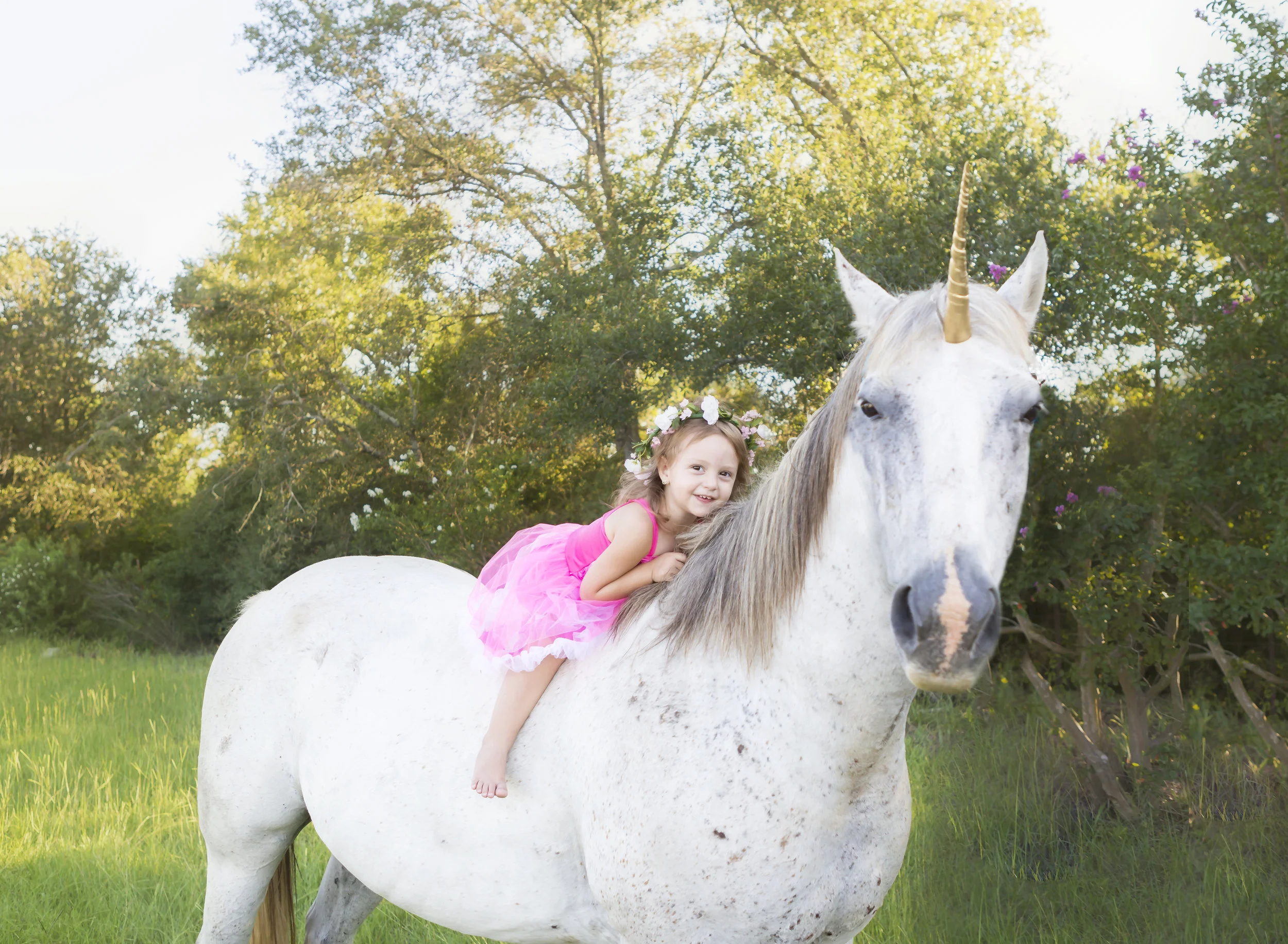 Unicorns!