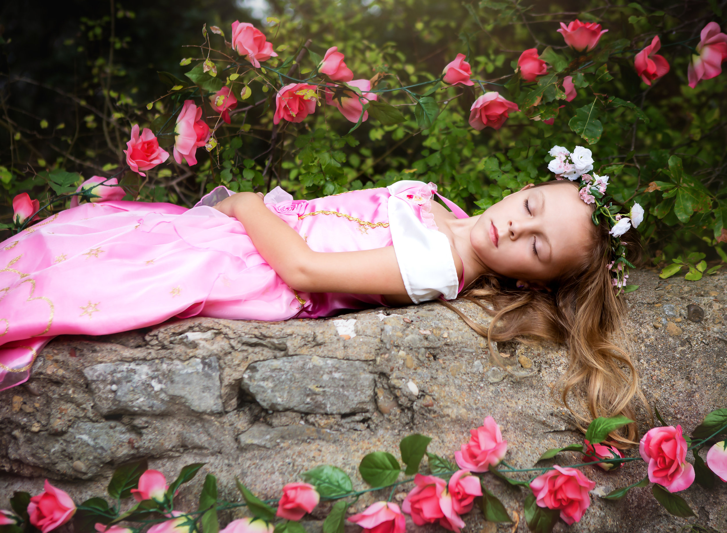 Princess Storybook Sessions