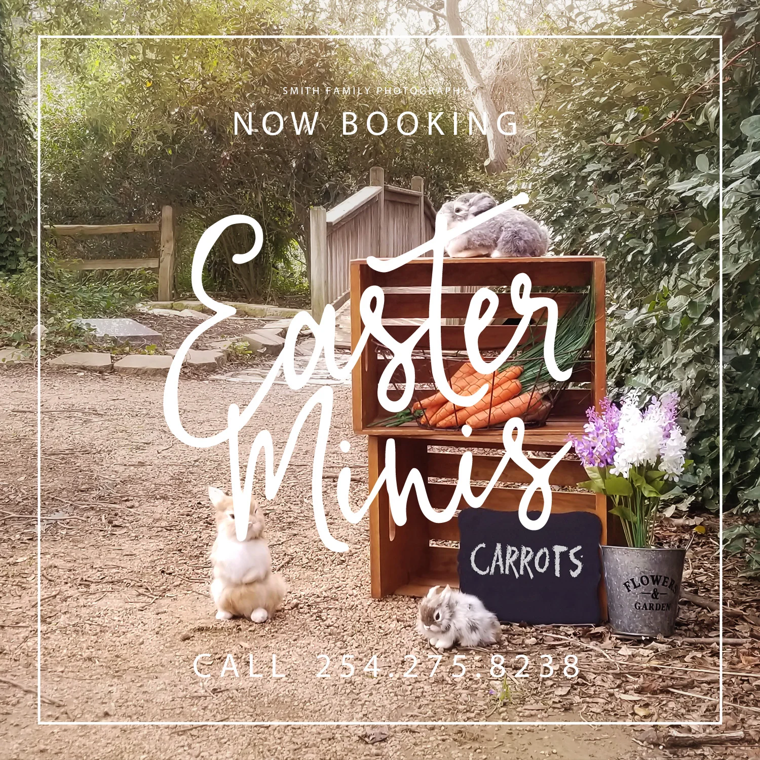 Easter Mini Session Contest