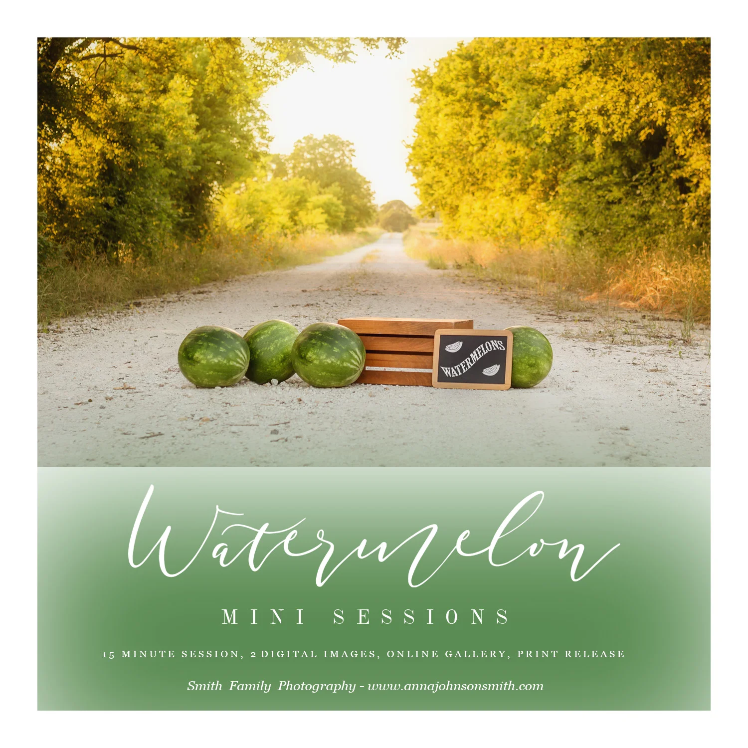 Watermelon Mini Sessions