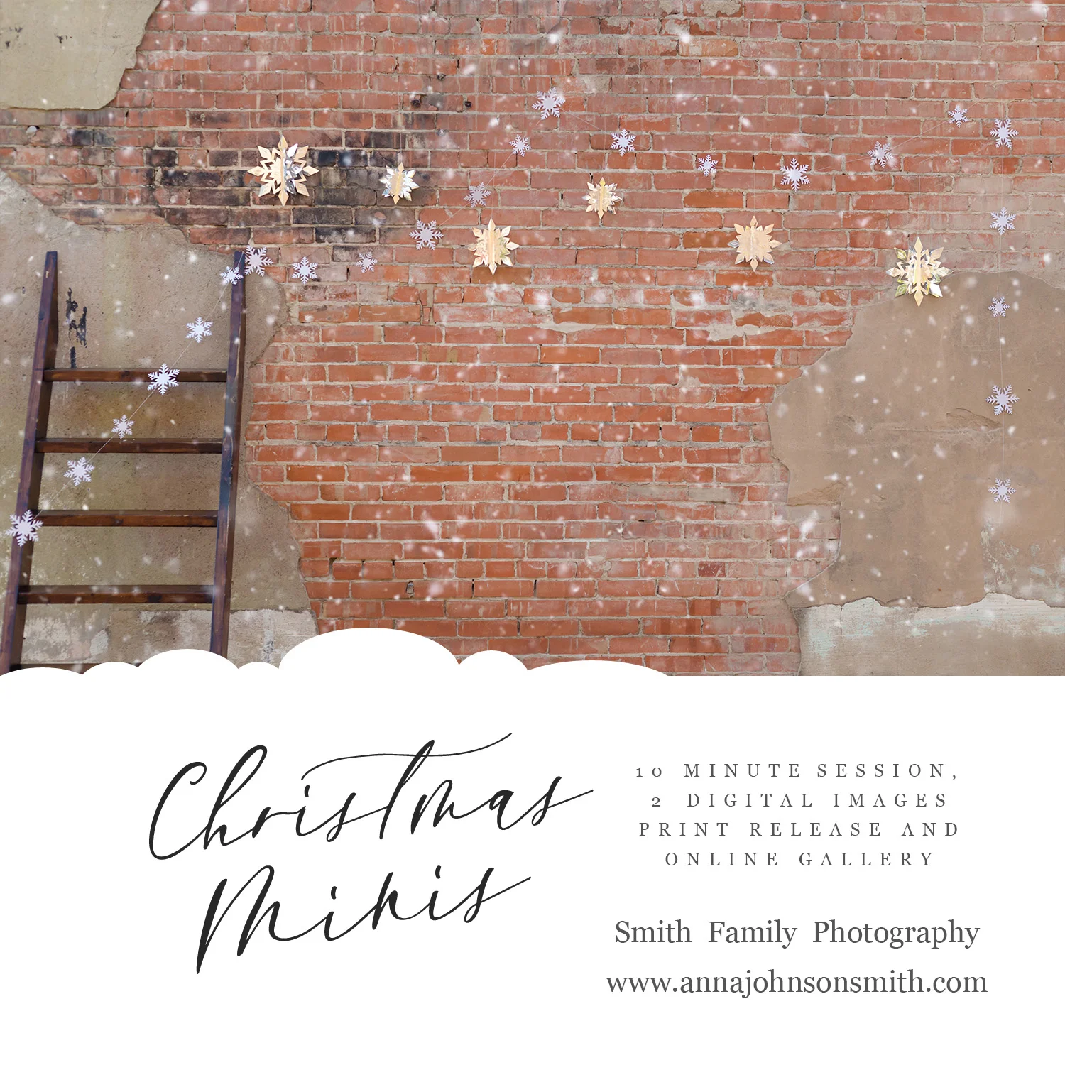 2019 Christmas Mini Sessions