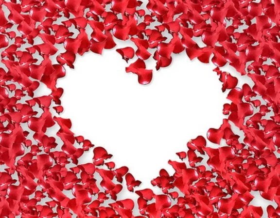 Valentine's Day Sessions
