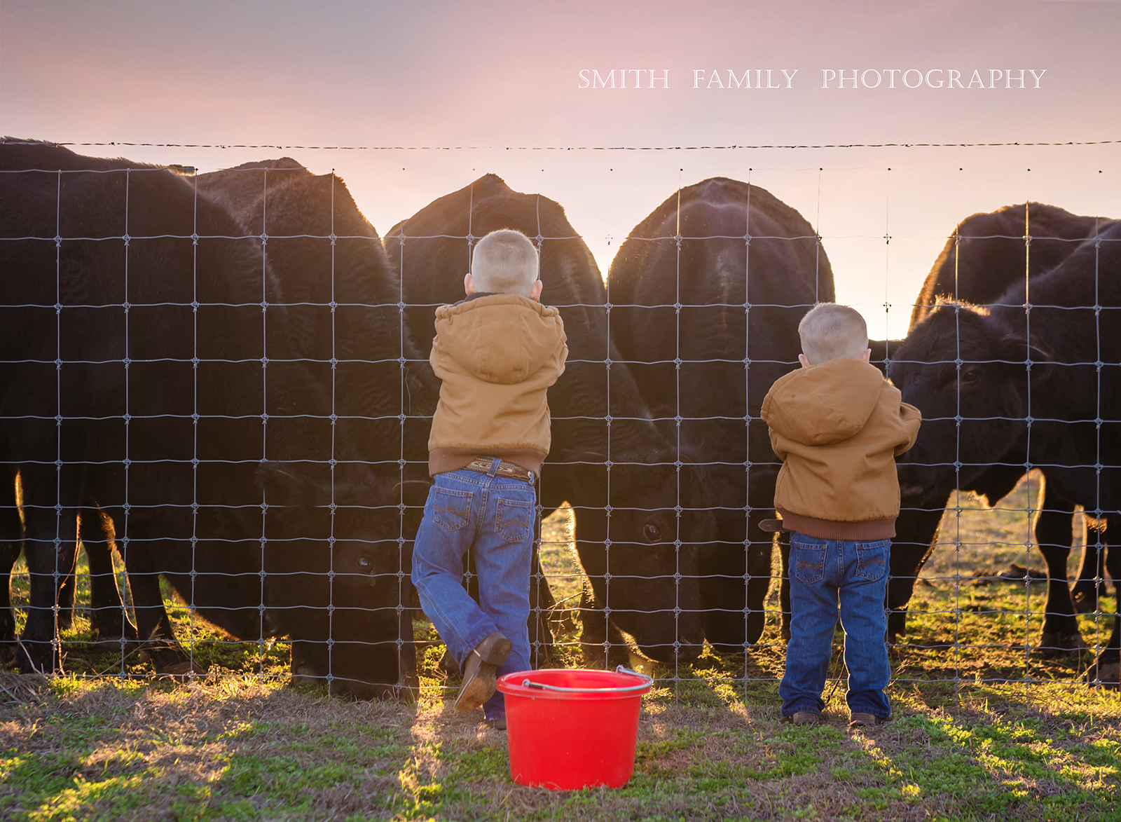 Over the Years:  The Erwin Family