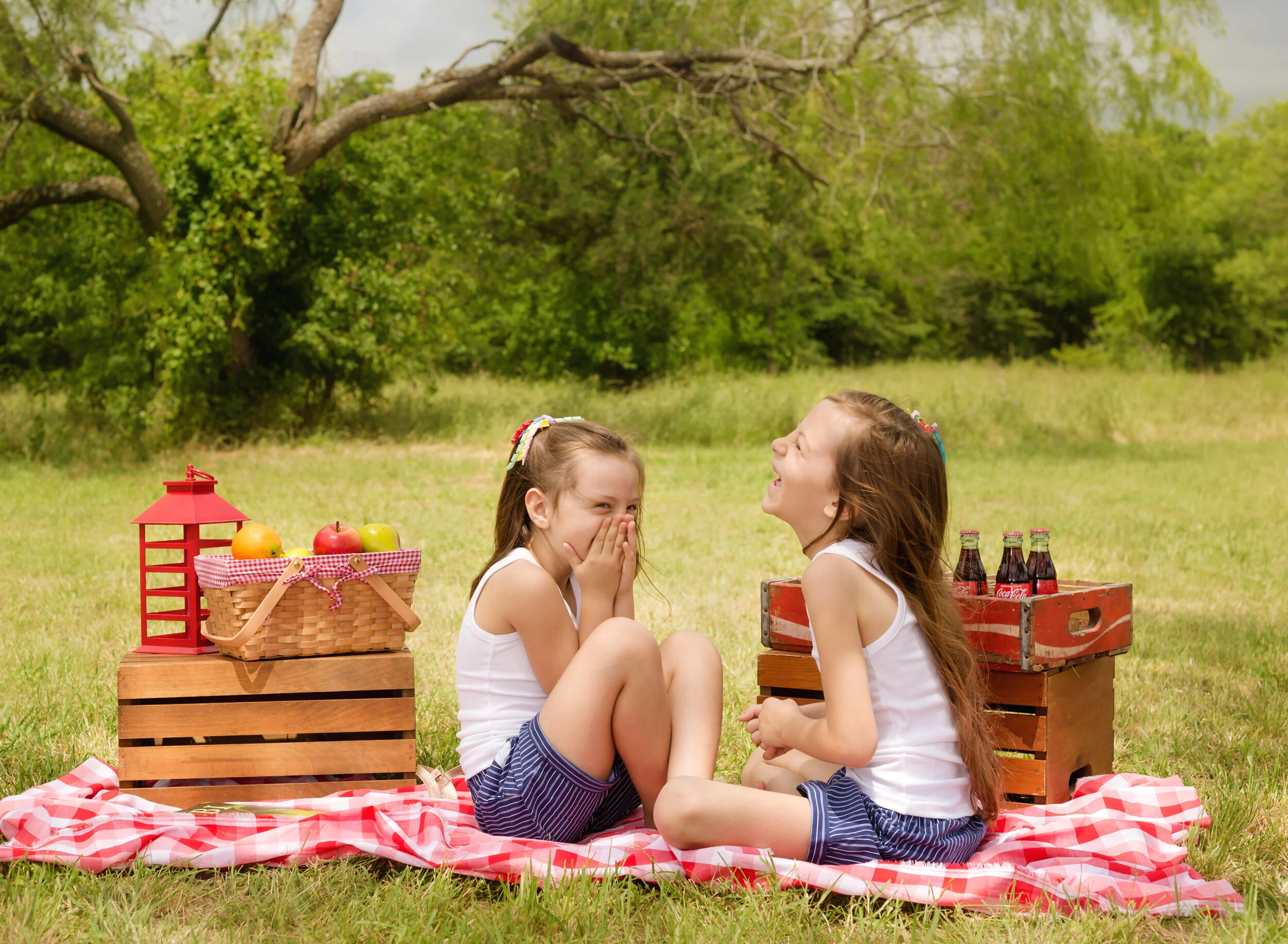 Summer Mini Sessions