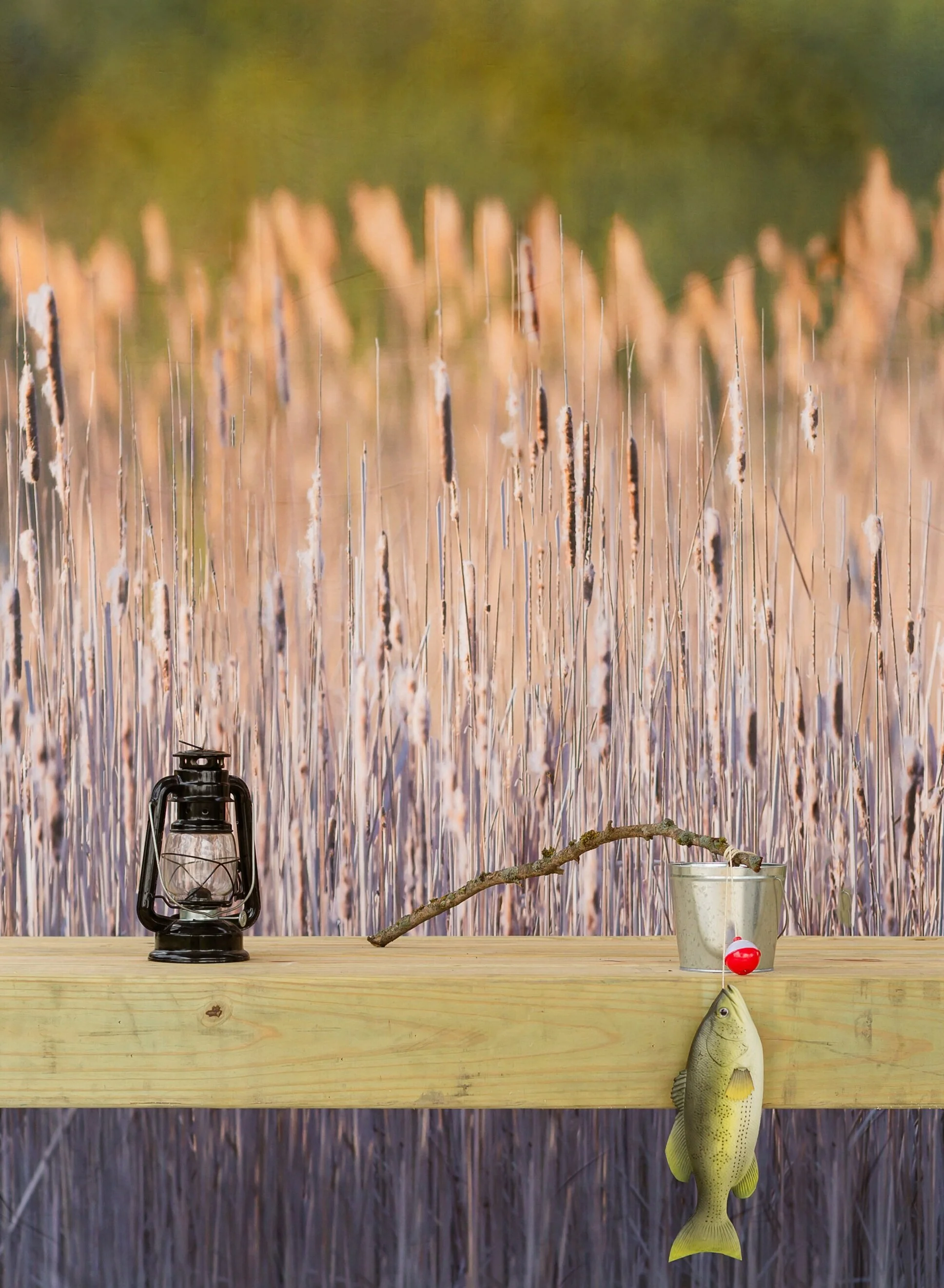 Fishing Mini Sessions