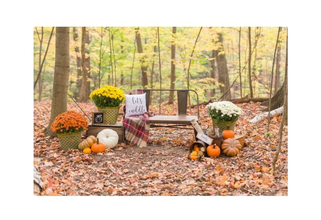 Fall Mini Sessions