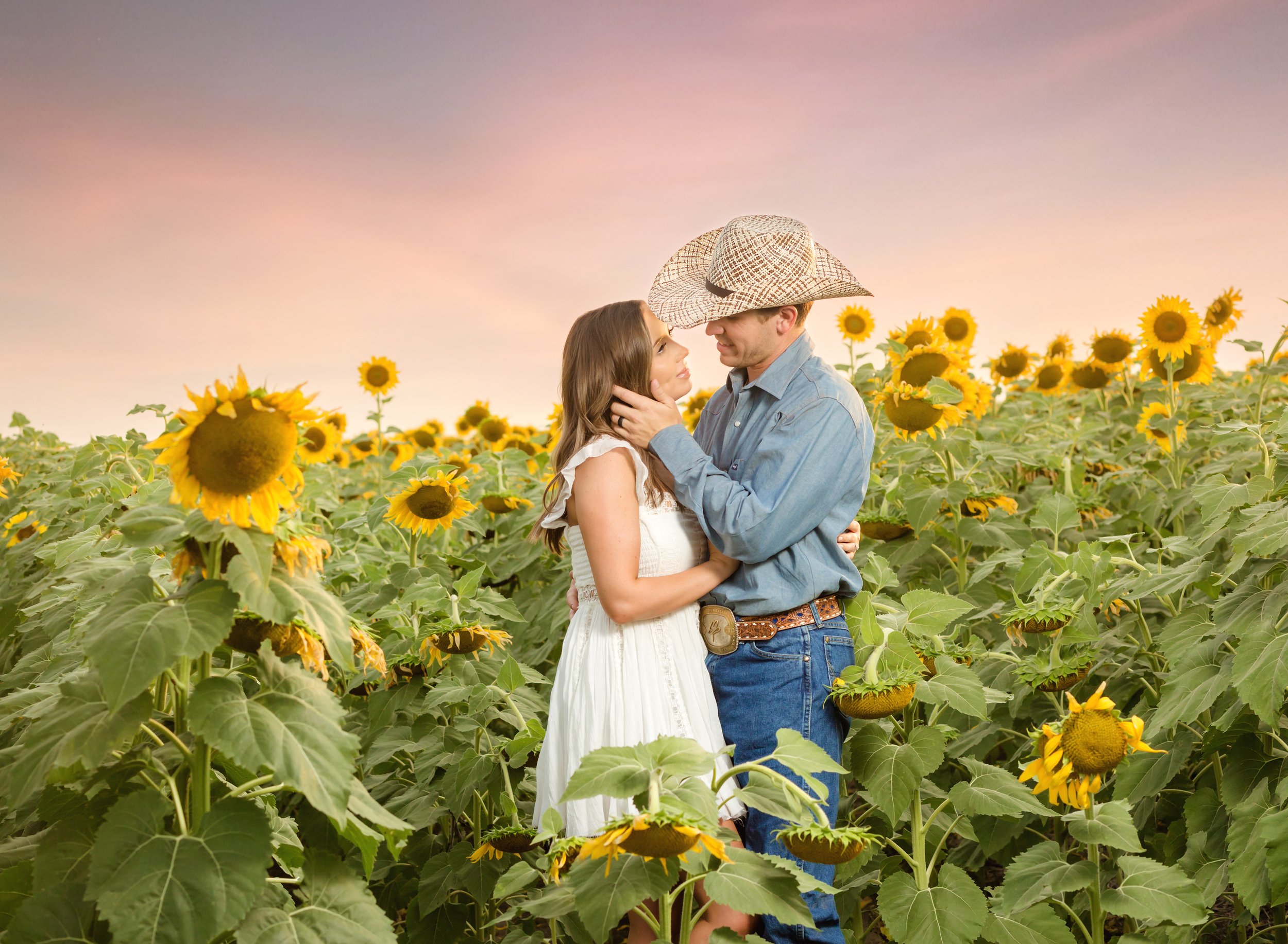 Sunflower Mini Sessions  