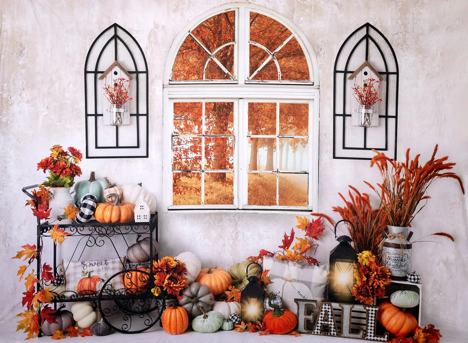 Studio Fall Mini Sessions 
