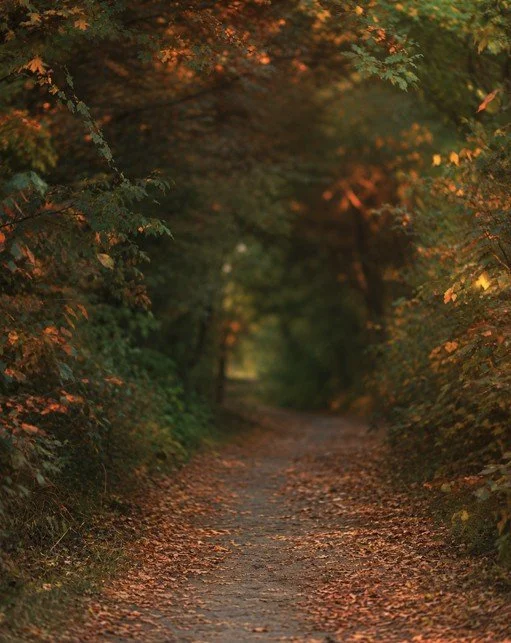 fall.jpg