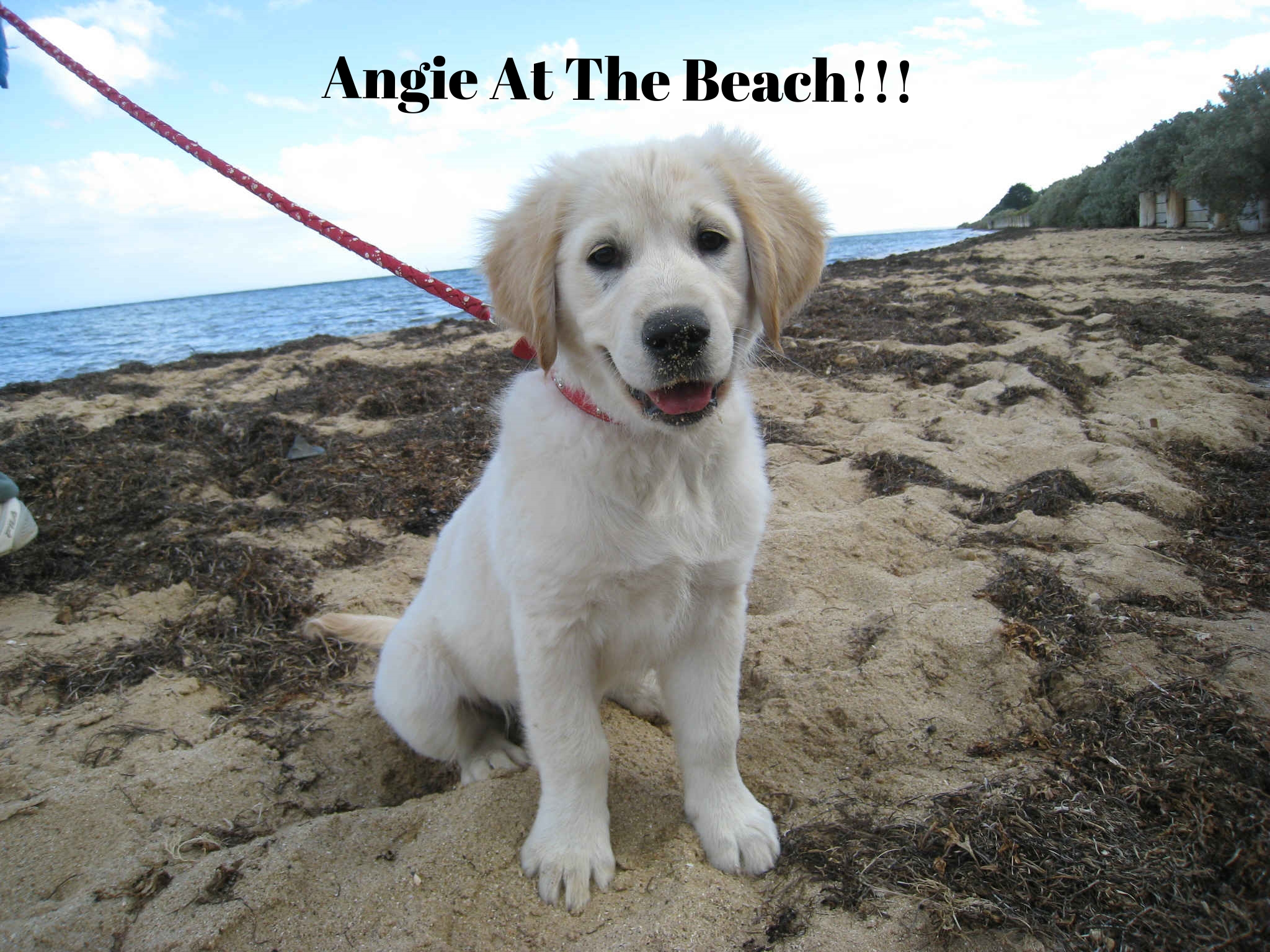 Angie_3_months_at_beach.jpg