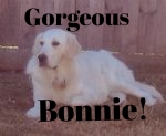 Beauitful Bonnie.jpg