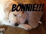 Beautiful Bonnie Lonsdale.jpg