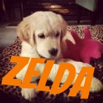 Beautiful Zelda.jpg