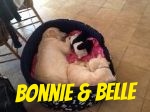 Bonnie and Belle Lonsdale.jpg