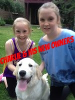 Charlie and his gorgeous new owners.jpg