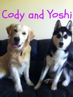 Cody and Yoshi.jpg