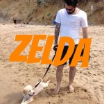 Gorgeous Zelda playing in the sand.jpg