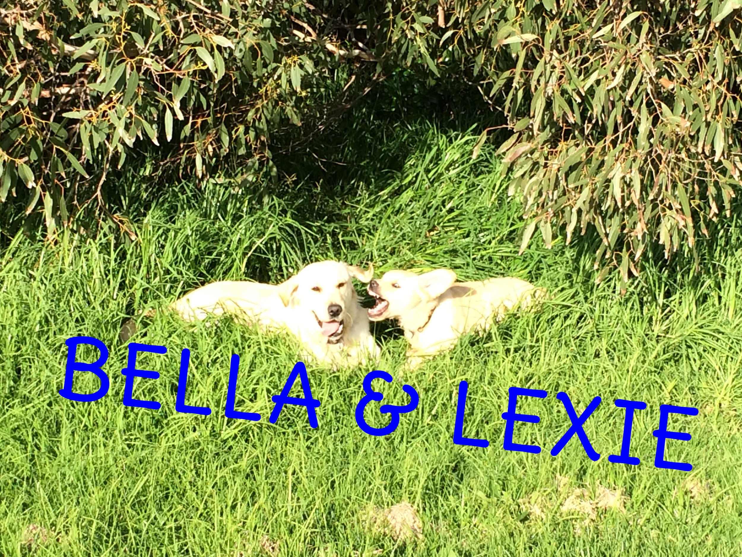 bella and Lexie 3.jpg