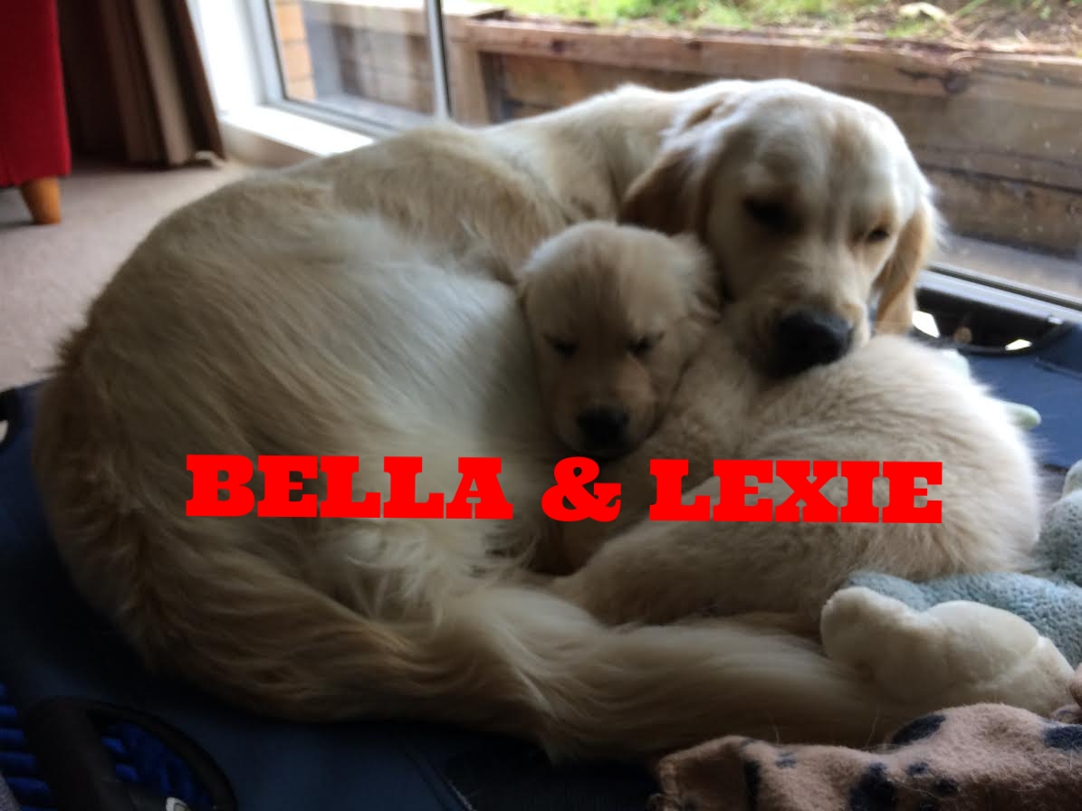 Bella and Lexie 7.jpg
