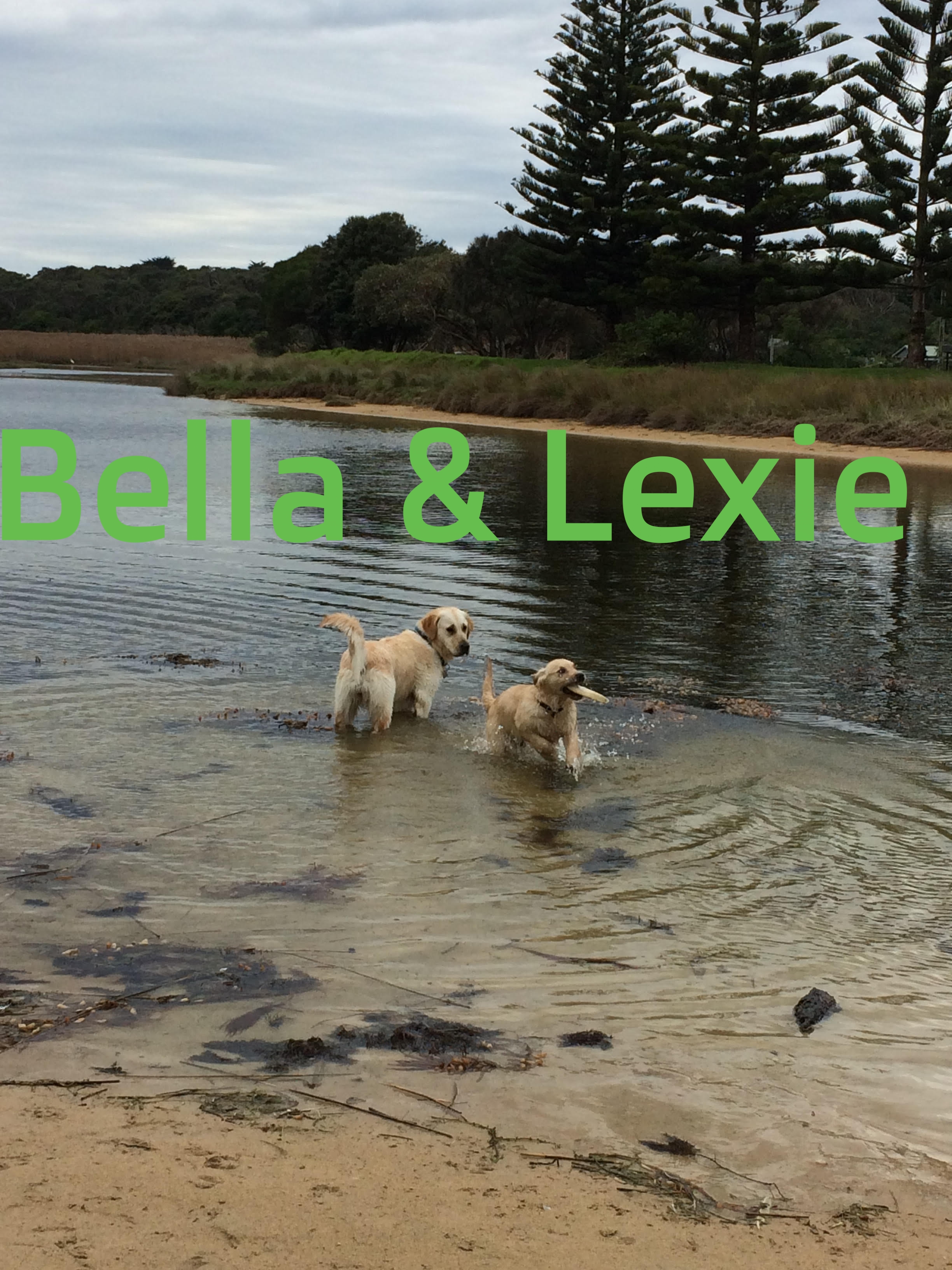 Bella and Lexie.jpg