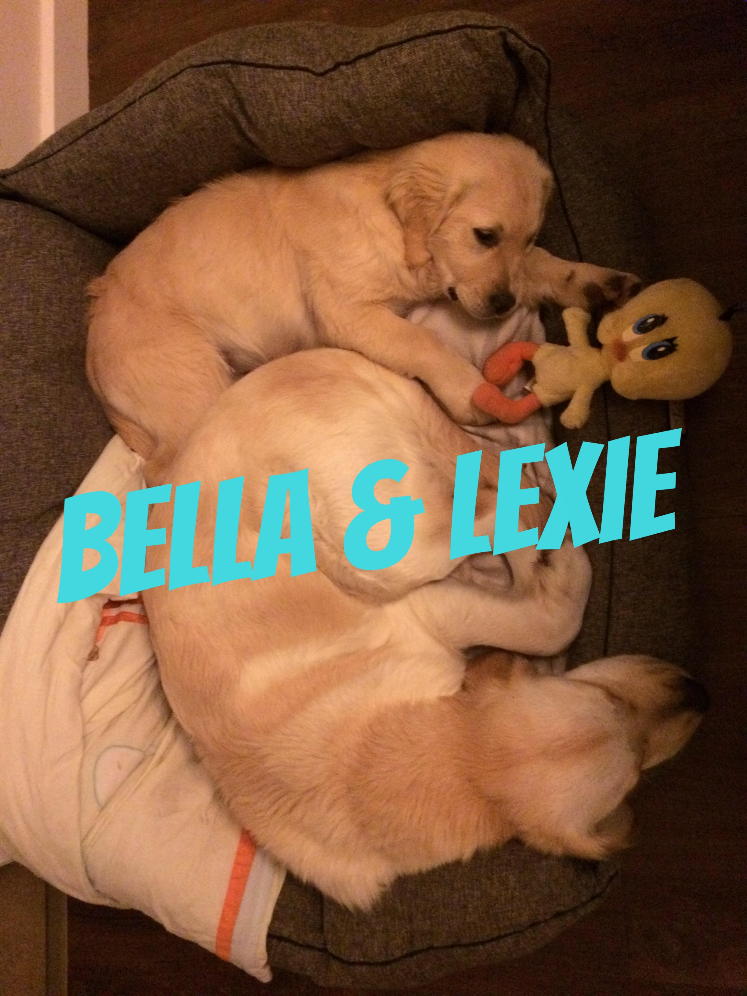 Bella and lexioe 3.jpg