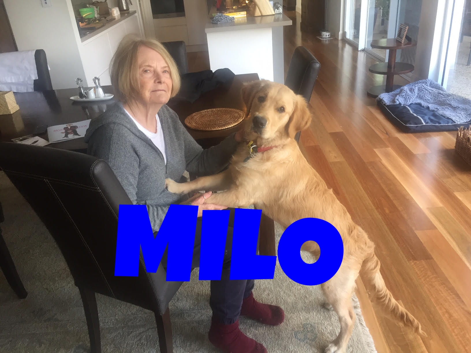 Milo 1.jpg