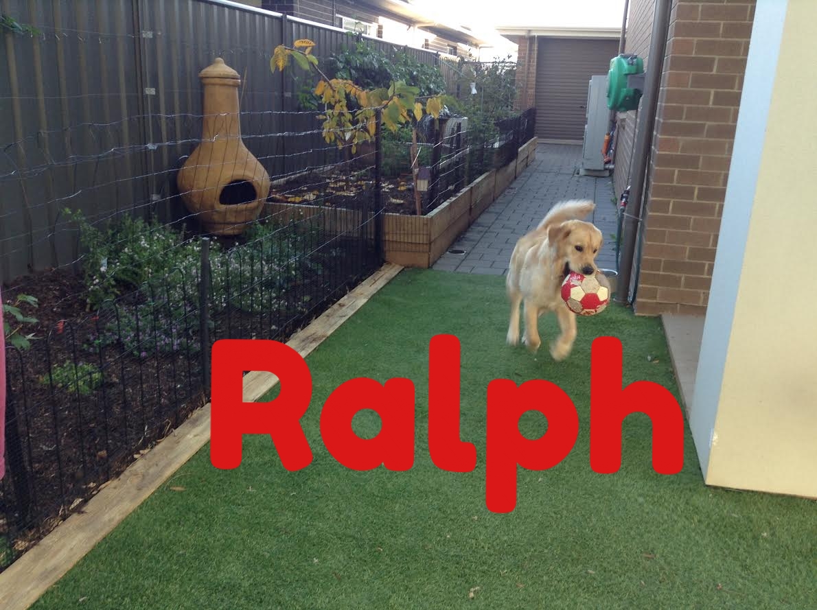 Ralph.jpg