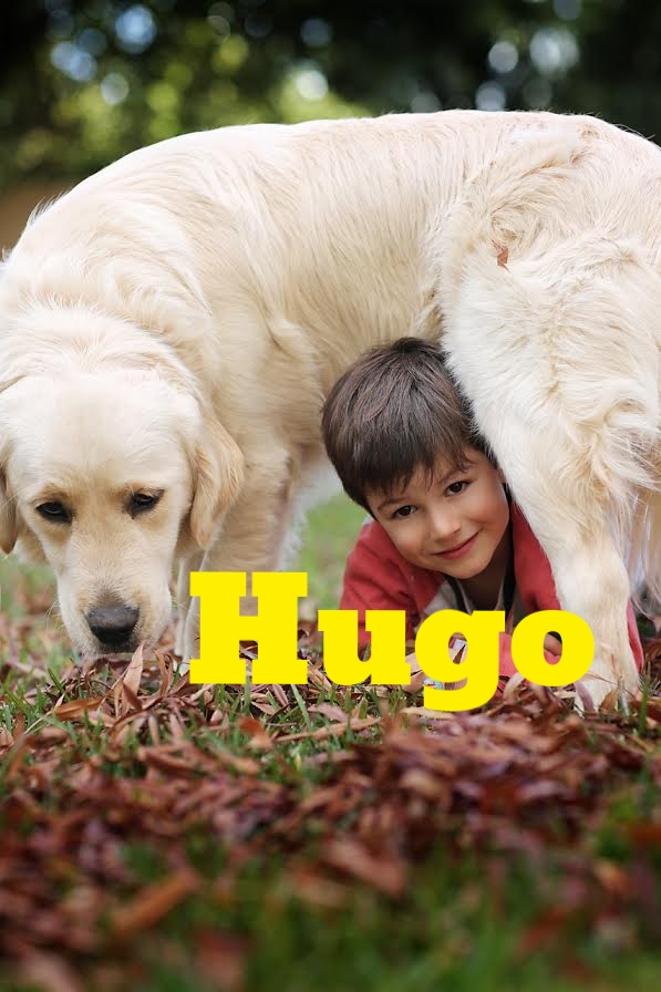 Hugo 5.jpg