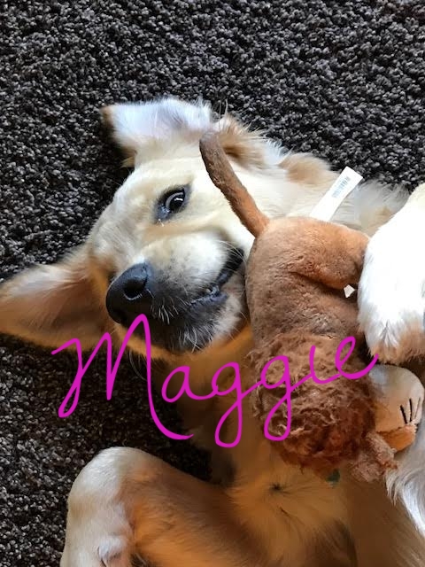Maggie .jpg