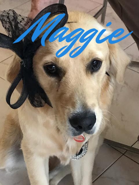 Maggie 3.jpg