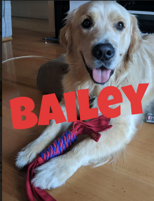 bailey.png