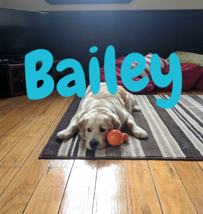 bailey4.png