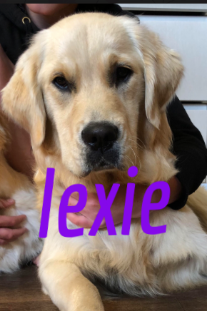 Lexie.png