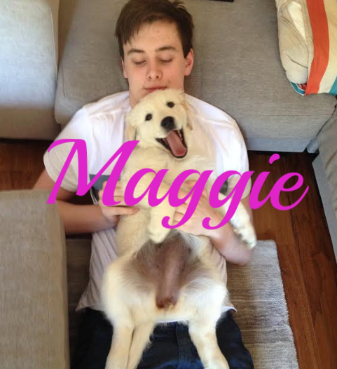 maggie.png
