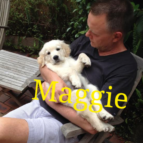 maggie2.png