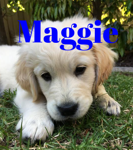 maggie3.png