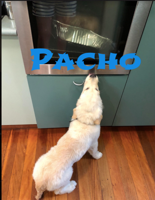 pacho4.png
