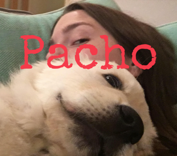pacho10.png