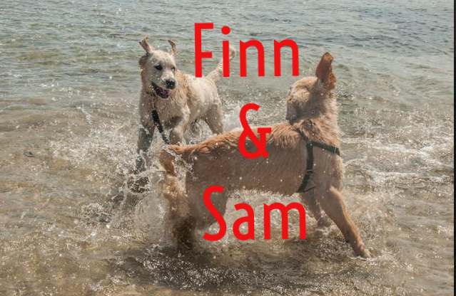 sam & finn2.png