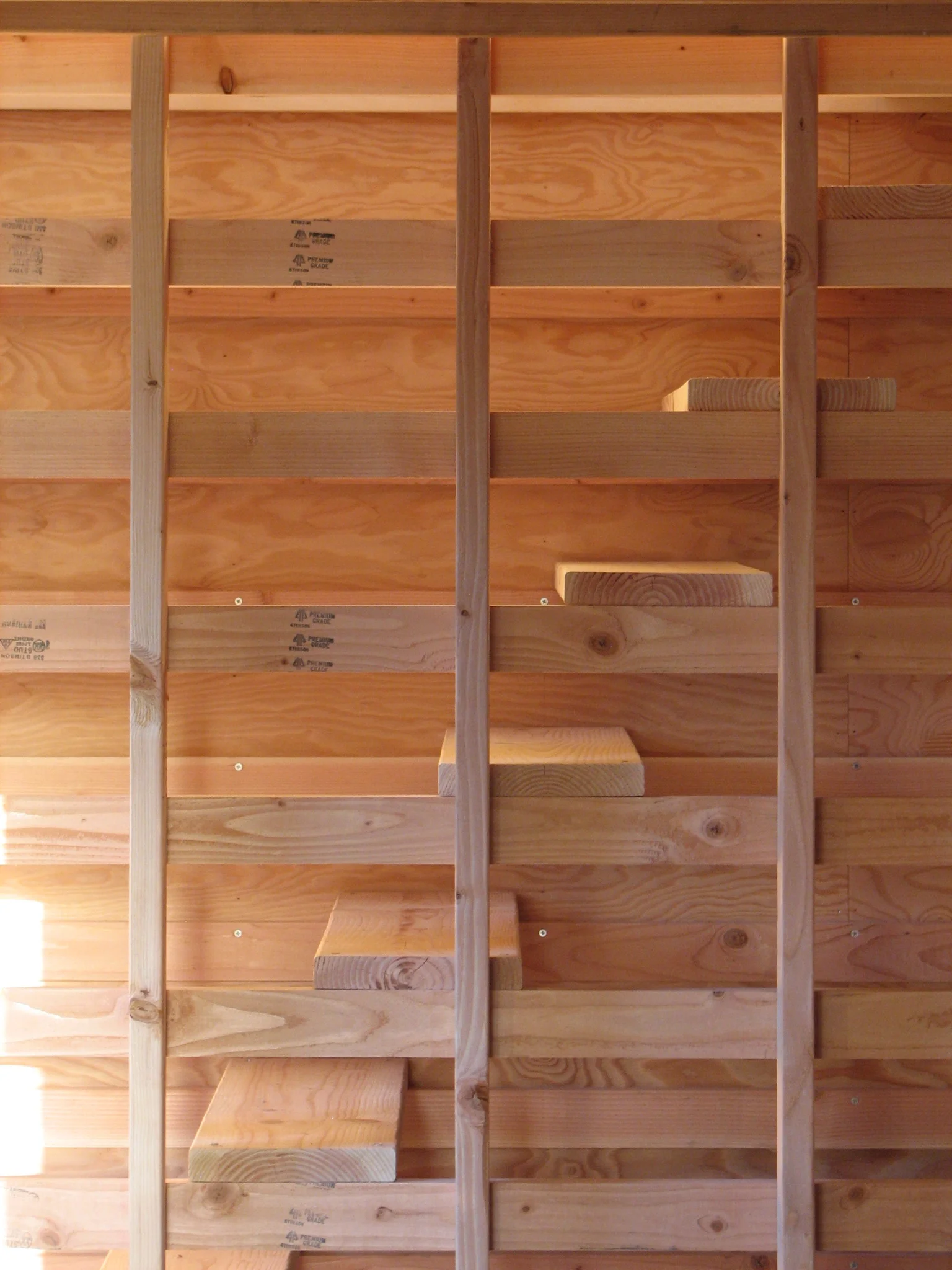  Stair of Corpus-Animus a studio and workshop designed and used by Clive Knights and Louise Foster,&nbsp;2012 