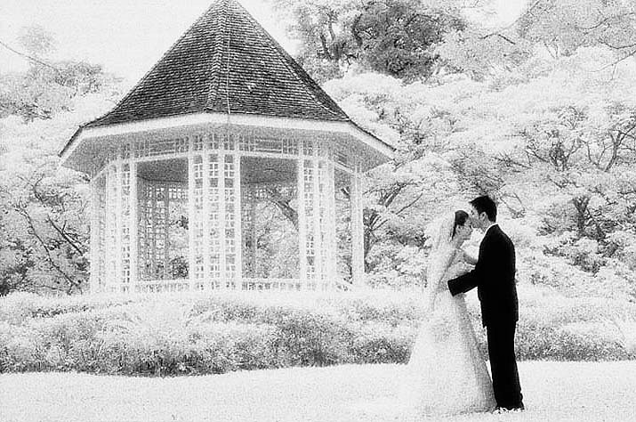 Kodak High-Speed Infrared Film. HIE Black & White Negative Film 135-36.