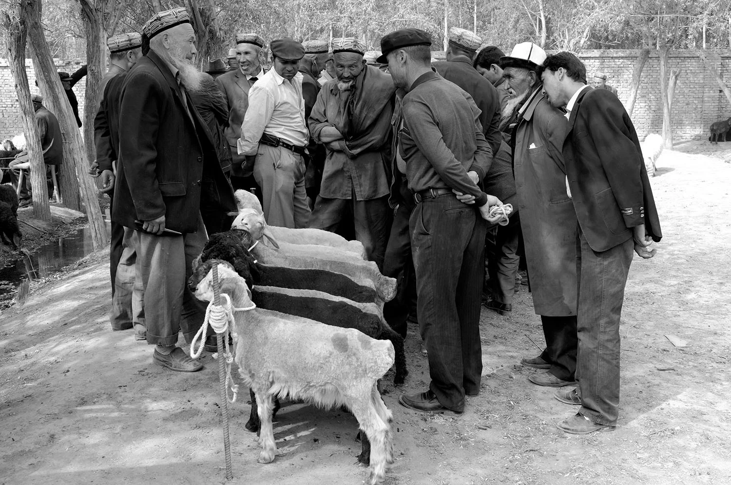 Livestock Market - Kashgar.jpg