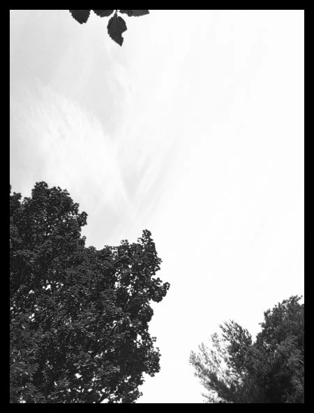 Blue filter applied
