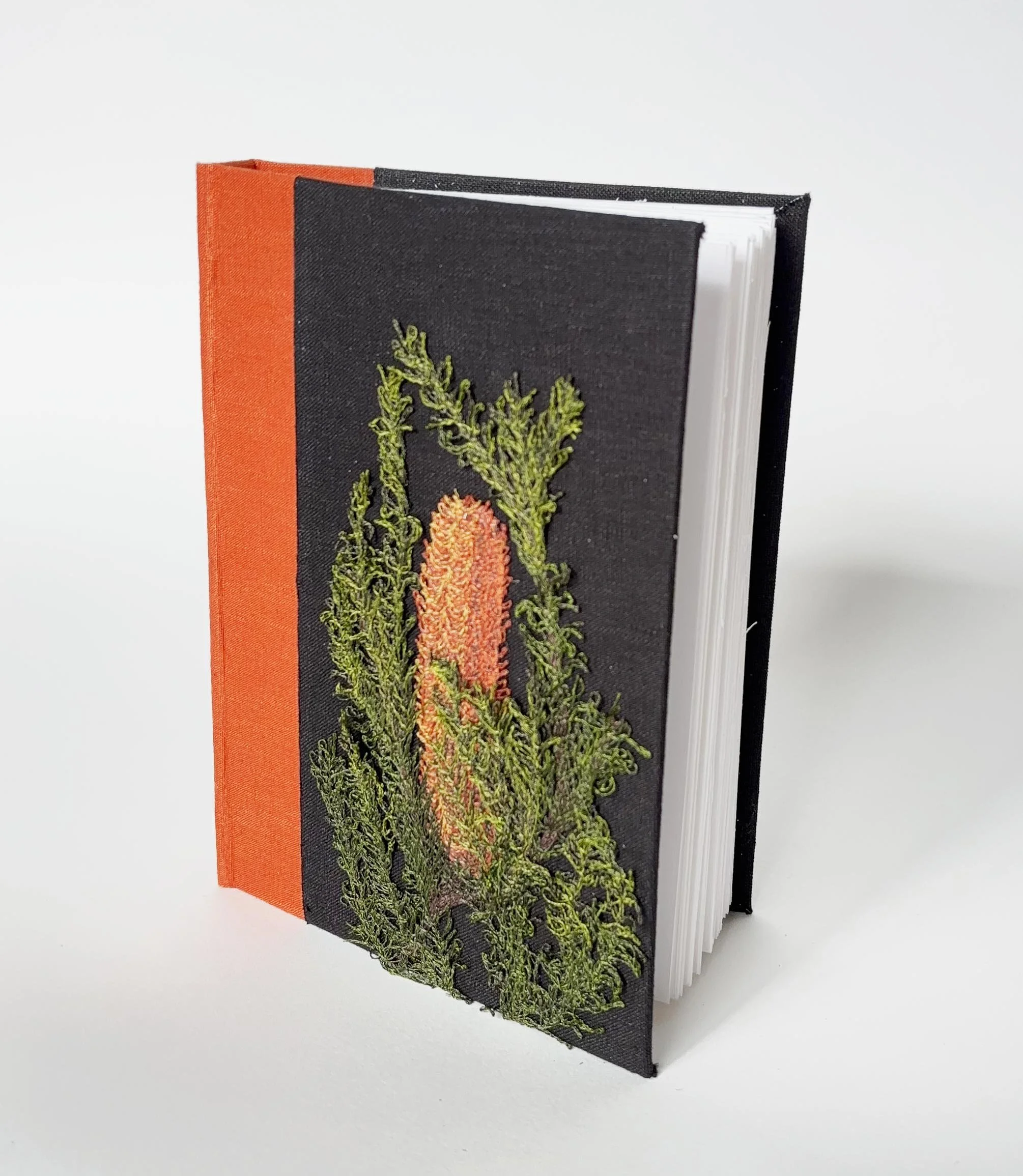 32_Banksia journal standing.jpg