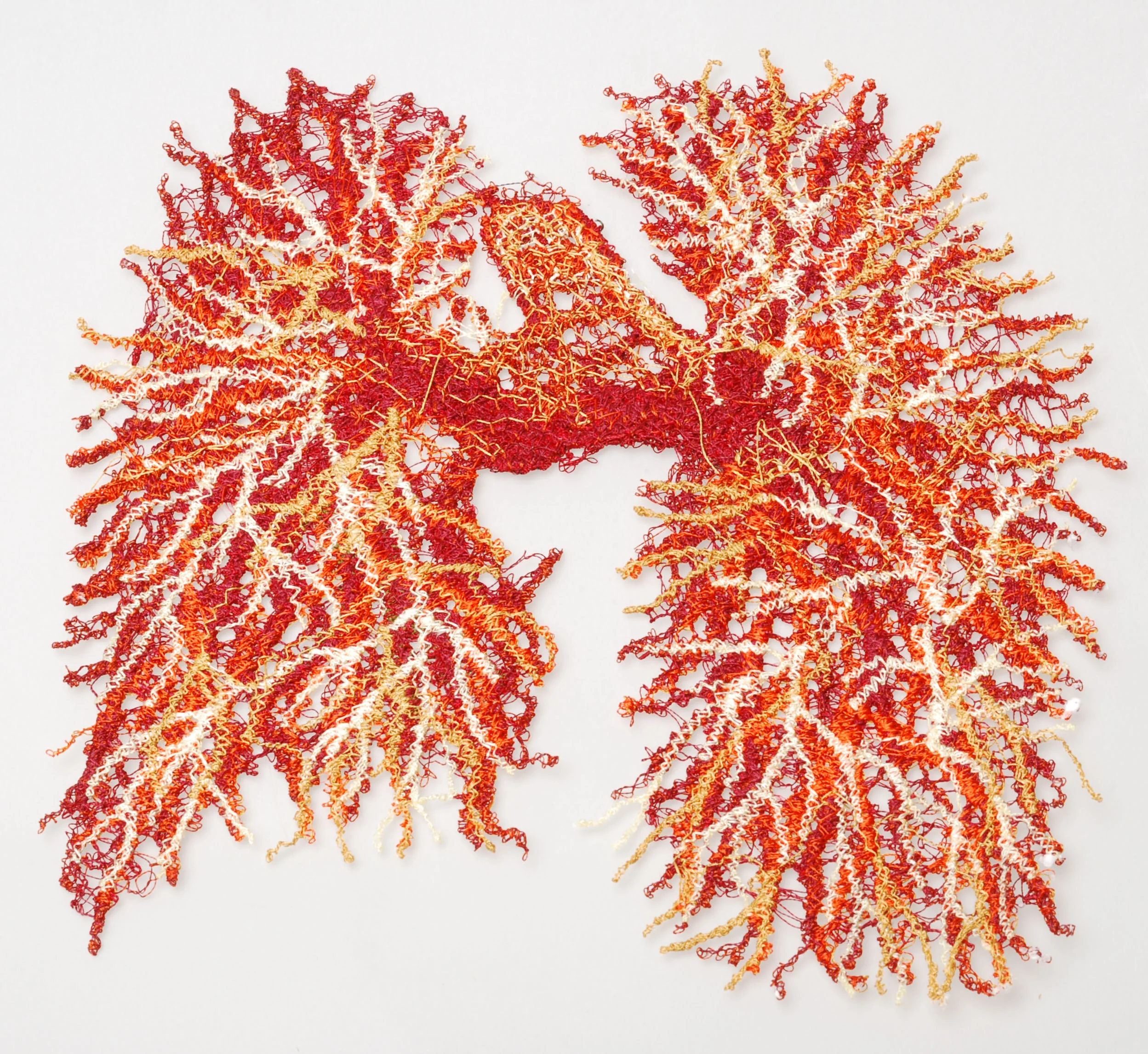 asbestos lungs 4.jpg