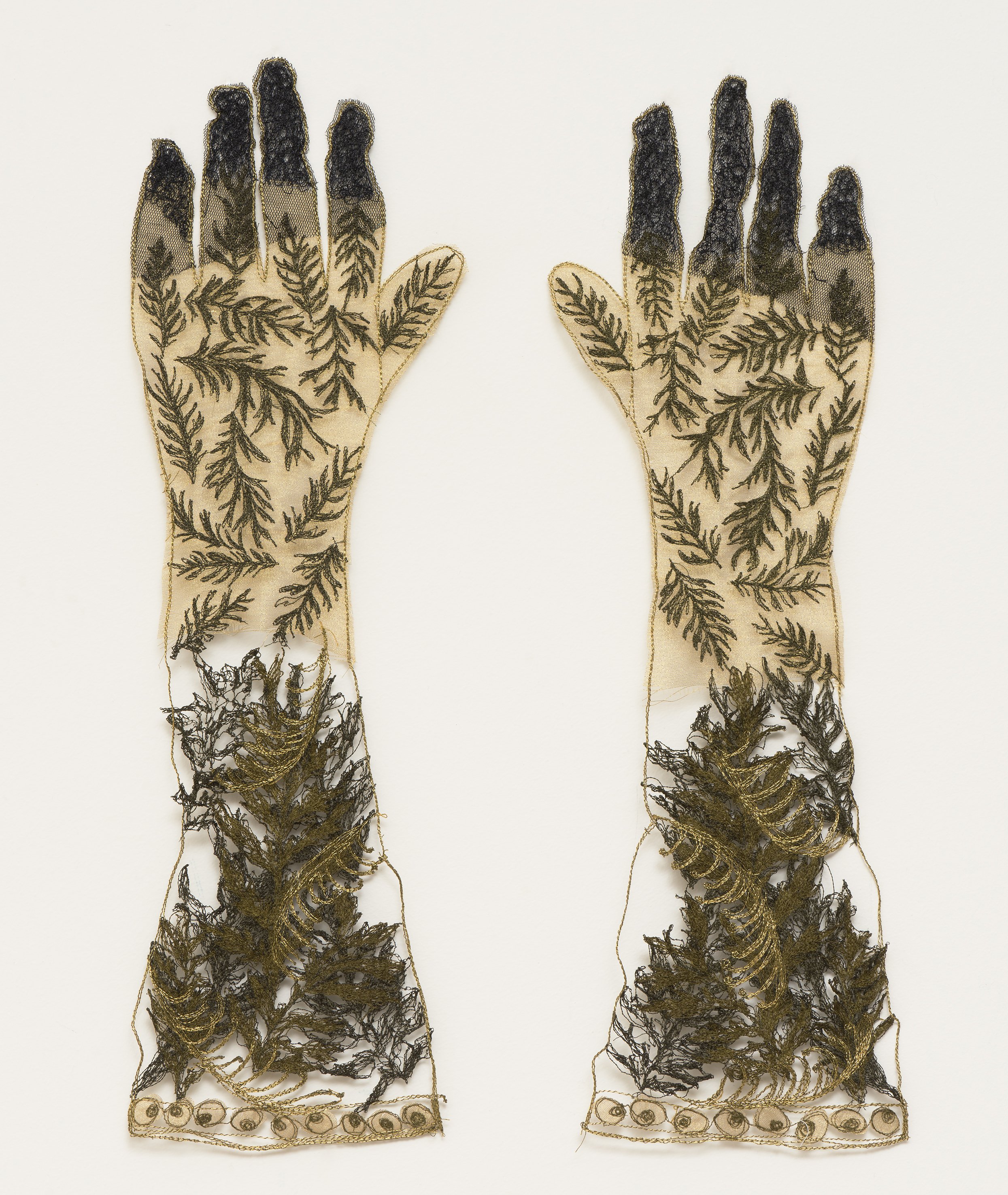 Peoples grevillea robusta gloves.jpg