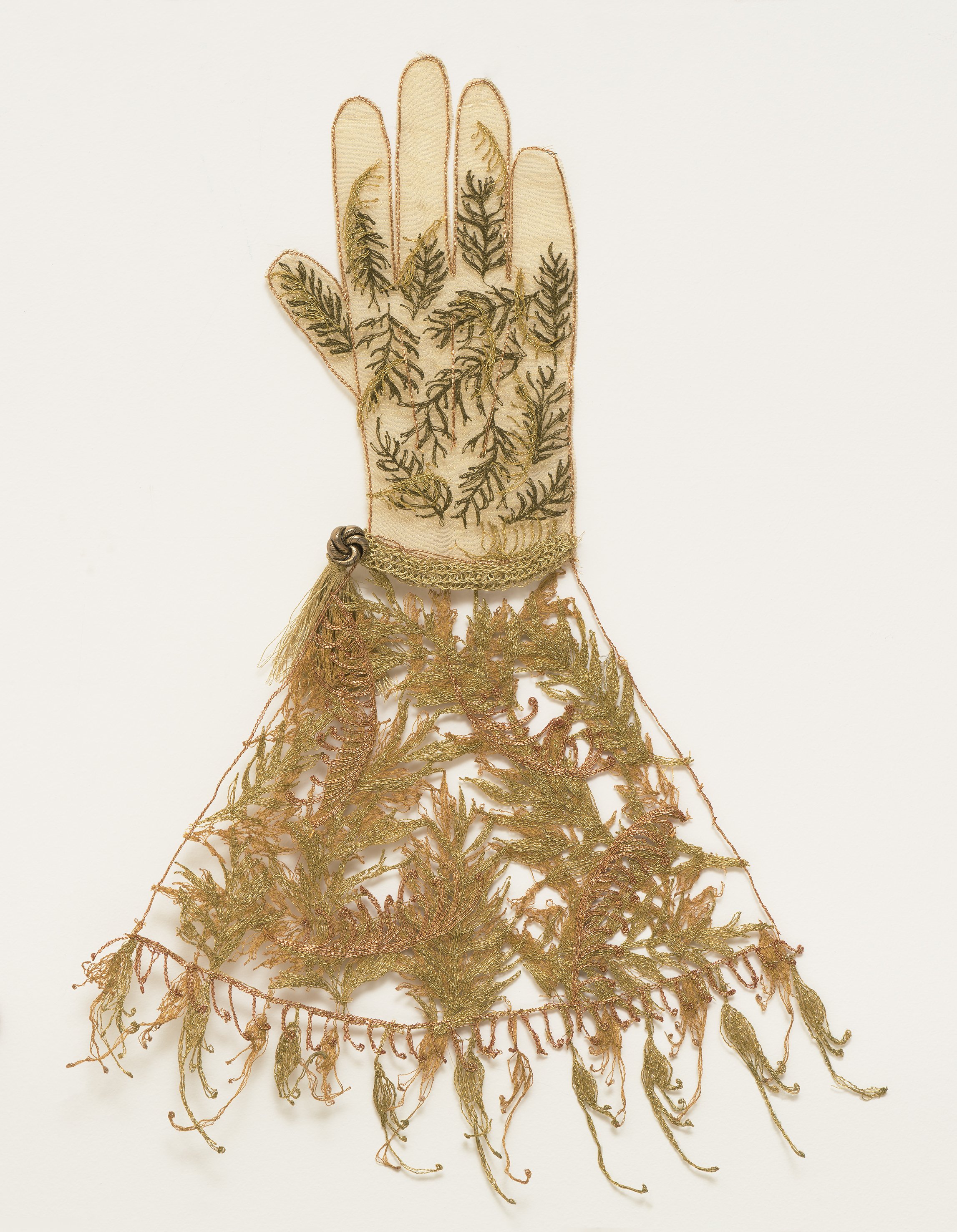 Peoples_Grevillea_Gauntlet.jpg